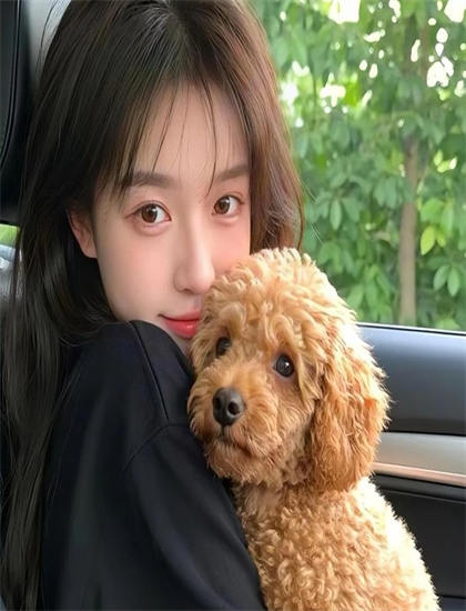 音乐片艺术分析：《恋爱麻烦，但是甜》的市场表现与观众反响 ——音乐片的专业鉴赏